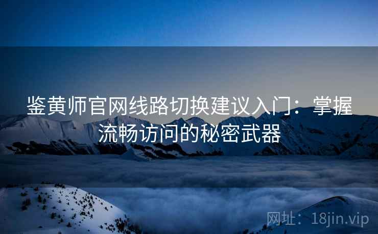 鉴黄师官网线路切换建议入门：掌握流畅访问的秘密武器
