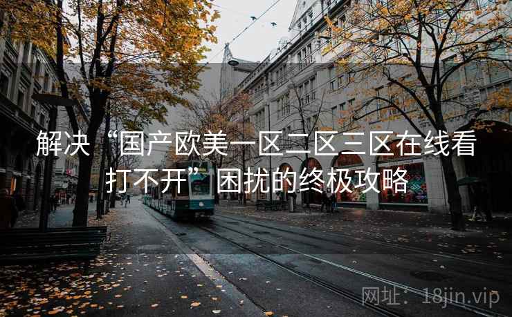 解决“国产欧美一区二区三区在线看打不开”困扰的终极攻略