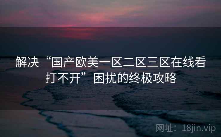 解决“国产欧美一区二区三区在线看打不开”困扰的终极攻略