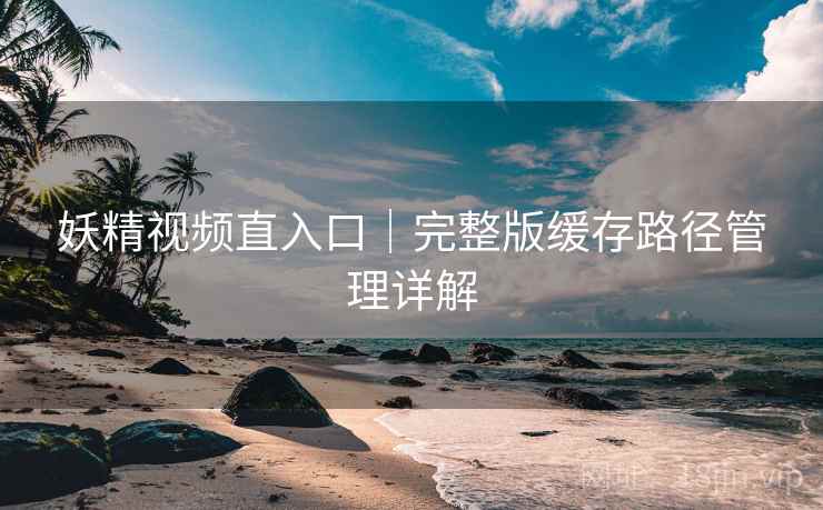 妖精视频直入口｜完整版缓存路径管理详解