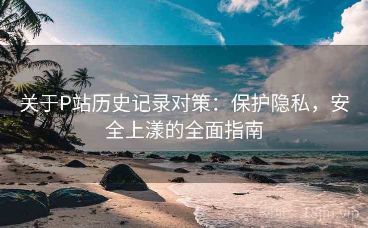 关于P站历史记录对策：保护隐私，安全上漾的全面指南