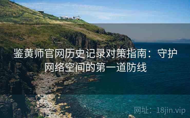 鉴黄师官网历史记录对策指南：守护网络空间的第一道防线